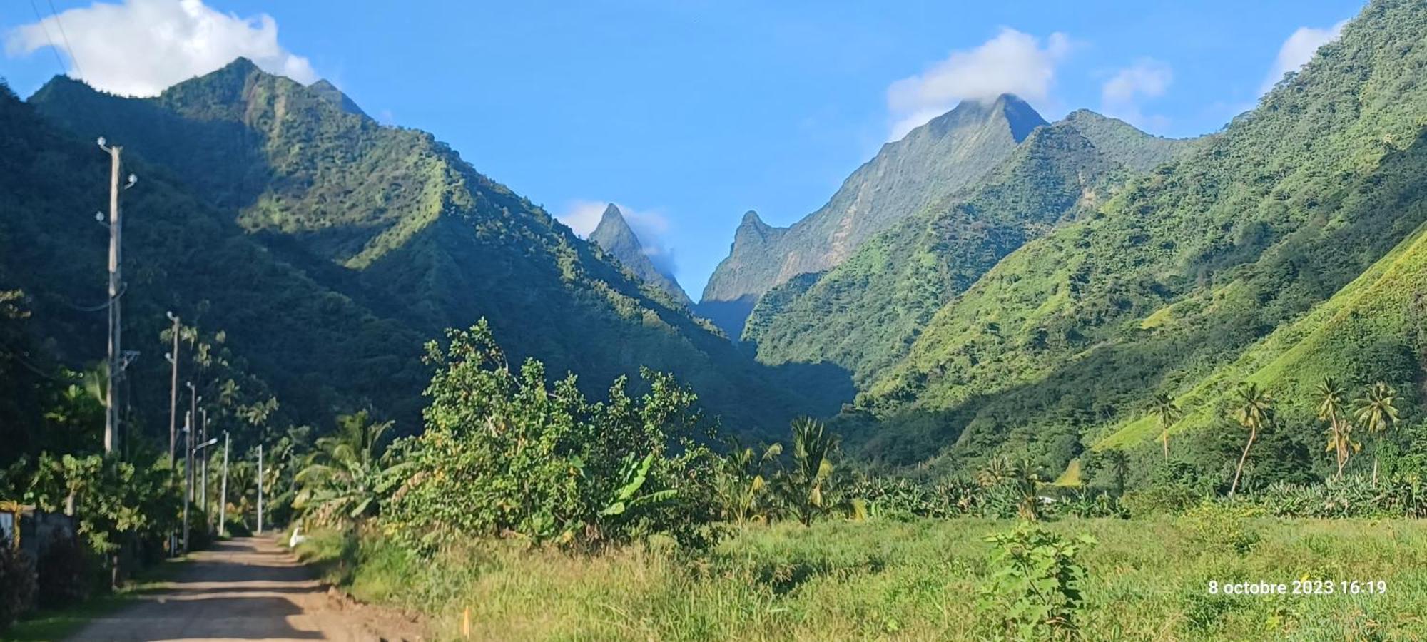 Hava'E Lodge Teahupoo ภายนอก รูปภาพ
